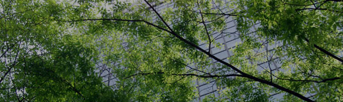 システム・リブート・コンサルタント株式会社